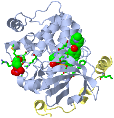 Image Biol. Unit 1 - sites