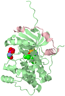 Image Biological Unit 2