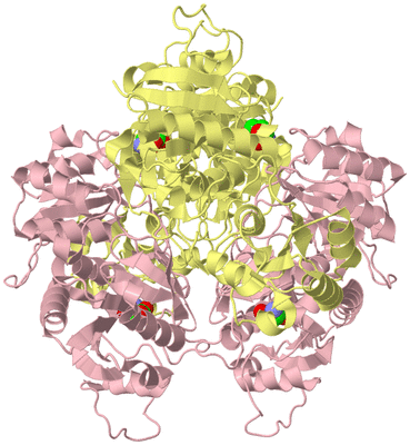 Image Biological Unit 2