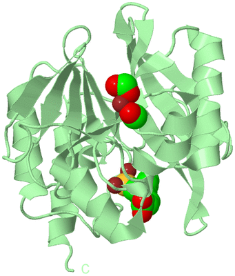 Image Biological Unit 2