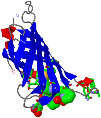 Image Asym. Unit - sites