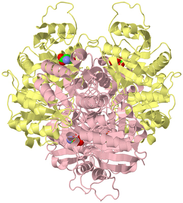 Image Biological Unit 2