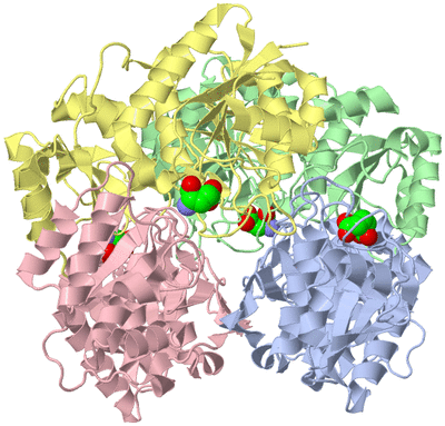 Image Biological Unit 1