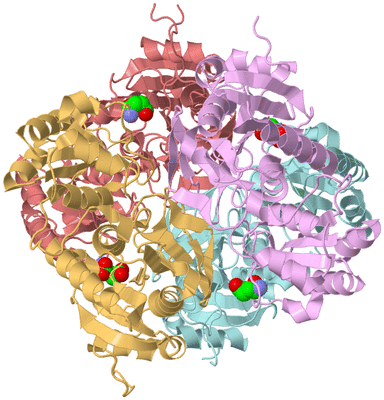 Image Biological Unit 2