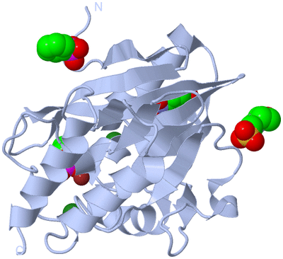 Image Biological Unit 1