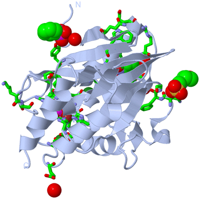 Image Biol. Unit 1 - sites