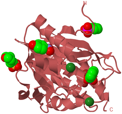 Image Biological Unit 2