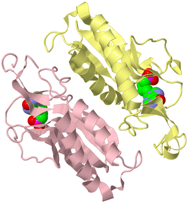 Image Biological Unit 2