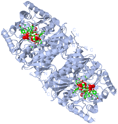 Image Biol. Unit 1 - sites