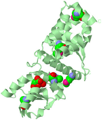 Image Biological Unit 2