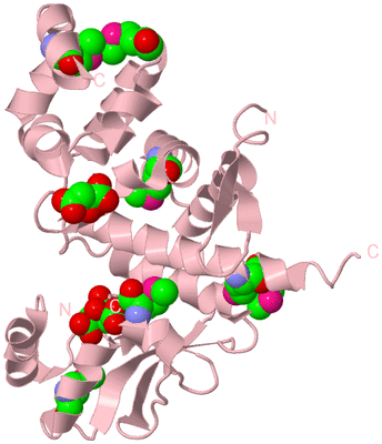 Image Biological Unit 3