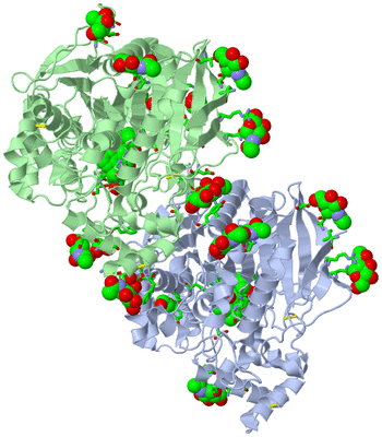 Image Asym./Biol. Unit - sites