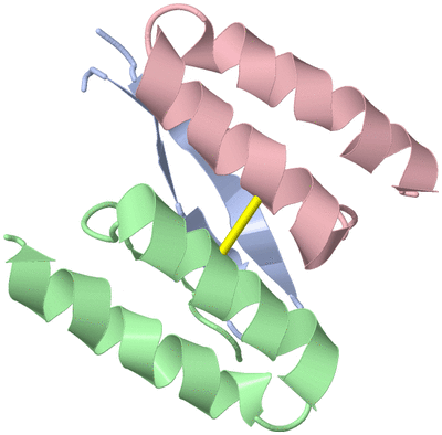 Image NMR Structure - model 1