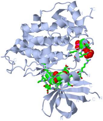 Image Biol. Unit 1 - sites