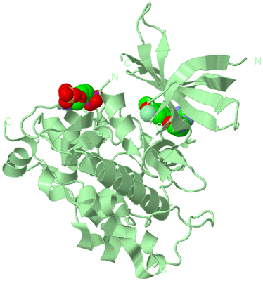 Image Biological Unit 2