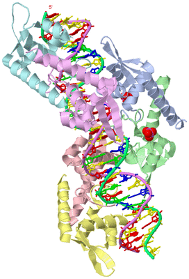 Image Asym./Biol. Unit