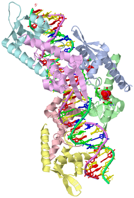 Image Asym./Biol. Unit - sites