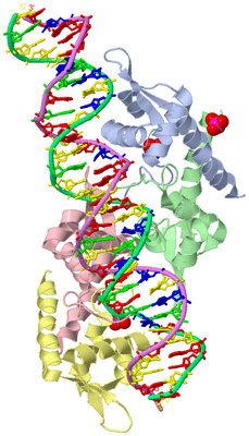 Image Biological Unit 1