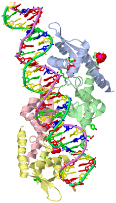 Image Biol. Unit 1 - sites