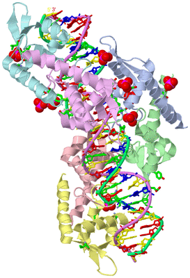 Image Asym. Unit - sites