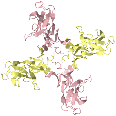 Image Biological Unit 2