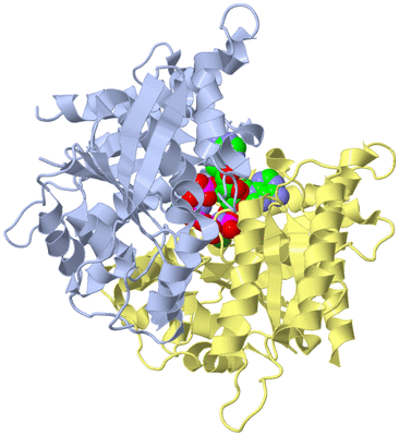 Image Biological Unit 1