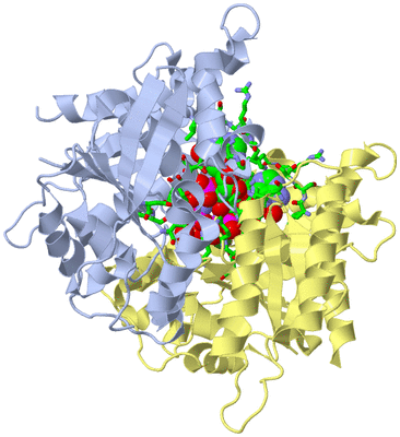 Image Biol. Unit 1 - sites