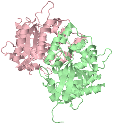 Image Biological Unit 2