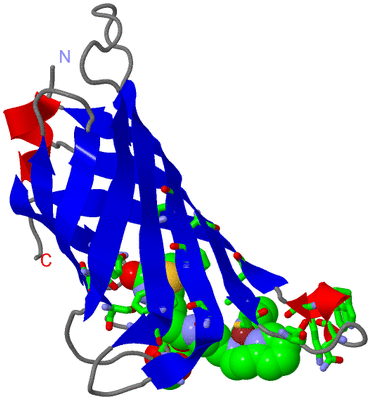 Image Asym. Unit - sites