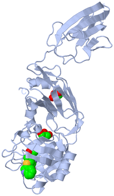 Image Biological Unit 1