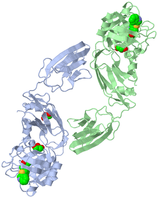 Image Biological Unit 3