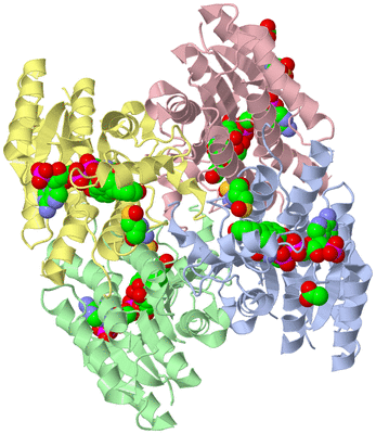 Image Asym./Biol. Unit