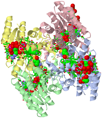 Image Asym./Biol. Unit - sites