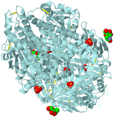 Image Biological Unit 1