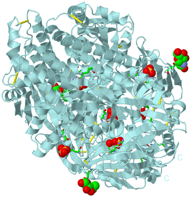 Image Biol. Unit 1 - sites