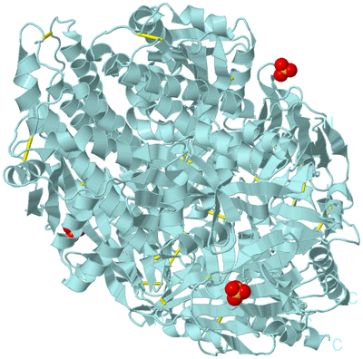 Image Biological Unit 1