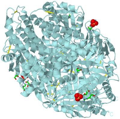 Image Biol. Unit 1 - sites