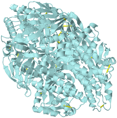 Image Biological Unit 1