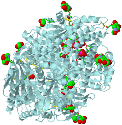 Image Biol. Unit 1 - sites