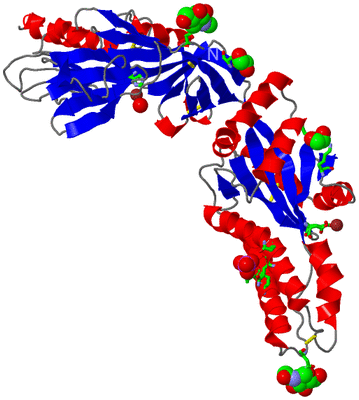 Image Asym. Unit - sites