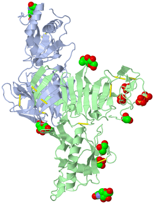 Image Biological Unit 1