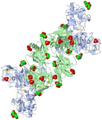 Image Biological Unit 2