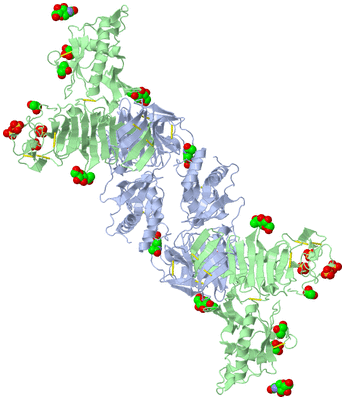 Image Biological Unit 3