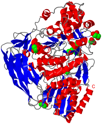 Image Asym./Biol. Unit