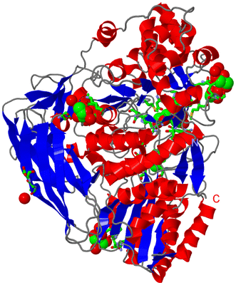 Image Asym./Biol. Unit - sites