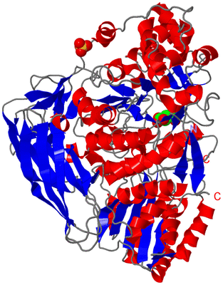 Image Asym./Biol. Unit