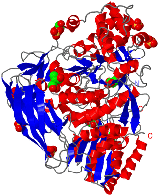 Image Asym./Biol. Unit