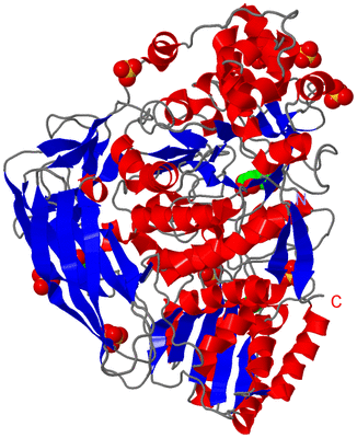 Image Asym./Biol. Unit