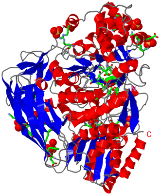 Image Asym./Biol. Unit - sites