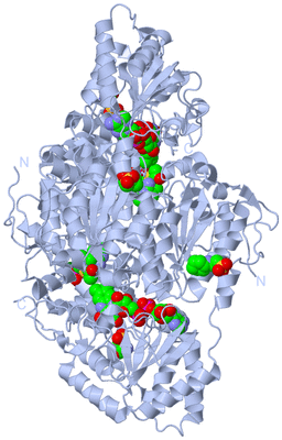 Image Biological Unit 2